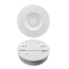 Spoof Trick Hiding Camouflage Smoke Inductive Alarm Apparatus