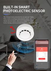 ABS Graffiti Wifi Smoke Sensor Alarm