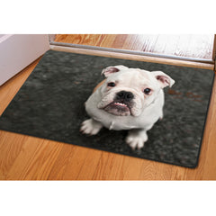 Animal Creative Printing Pet Mat Household Ottoman Cushion Non-slip Bath Mat