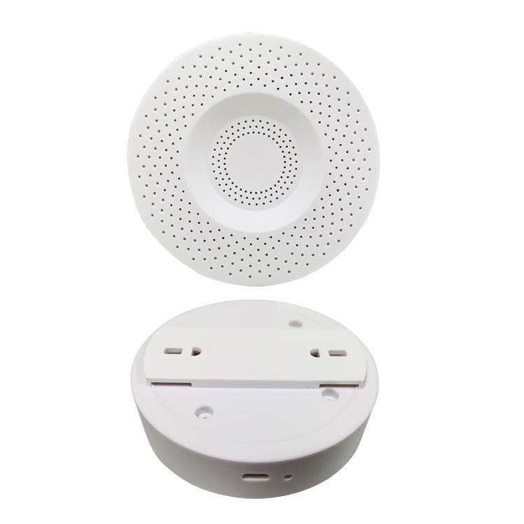 Spoof Trick Hiding Camouflage Smoke Inductive Alarm Apparatus