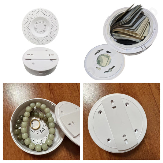 Spoof Trick Hiding Camouflage Smoke Inductive Alarm Apparatus