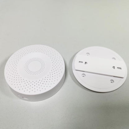 Spoof Trick Hiding Camouflage Smoke Inductive Alarm Apparatus